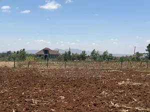 Prime One Eighth Plots in Ngong