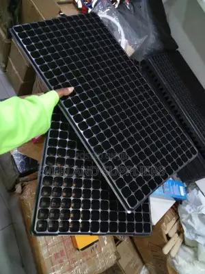 Compact Seedling Starter Trays - Wholesale