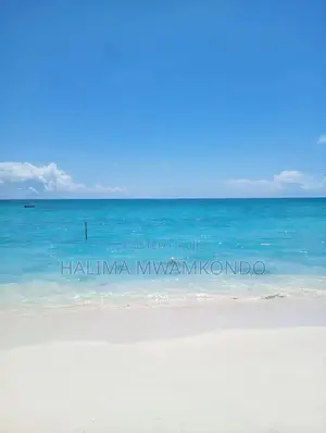 2 Acres First Row Beachfront Mida Creek Watamu