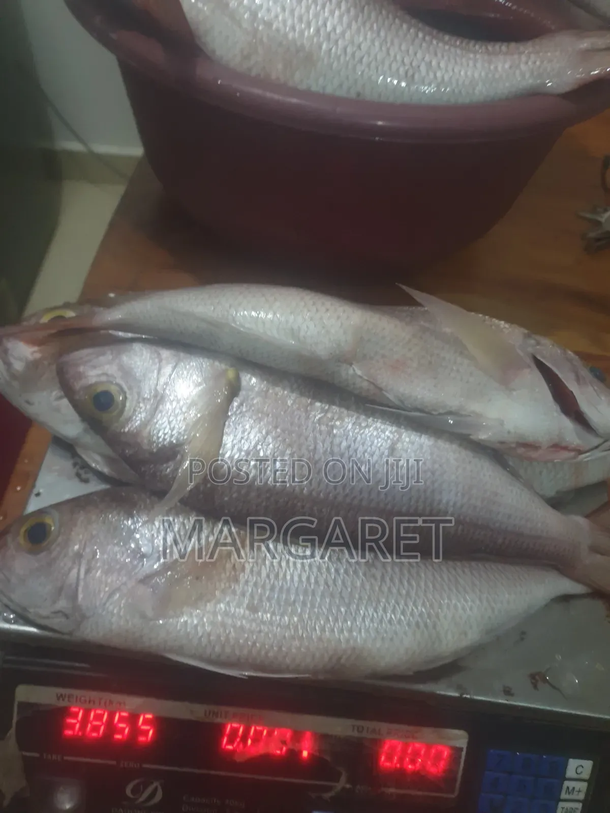 Fresh Fish