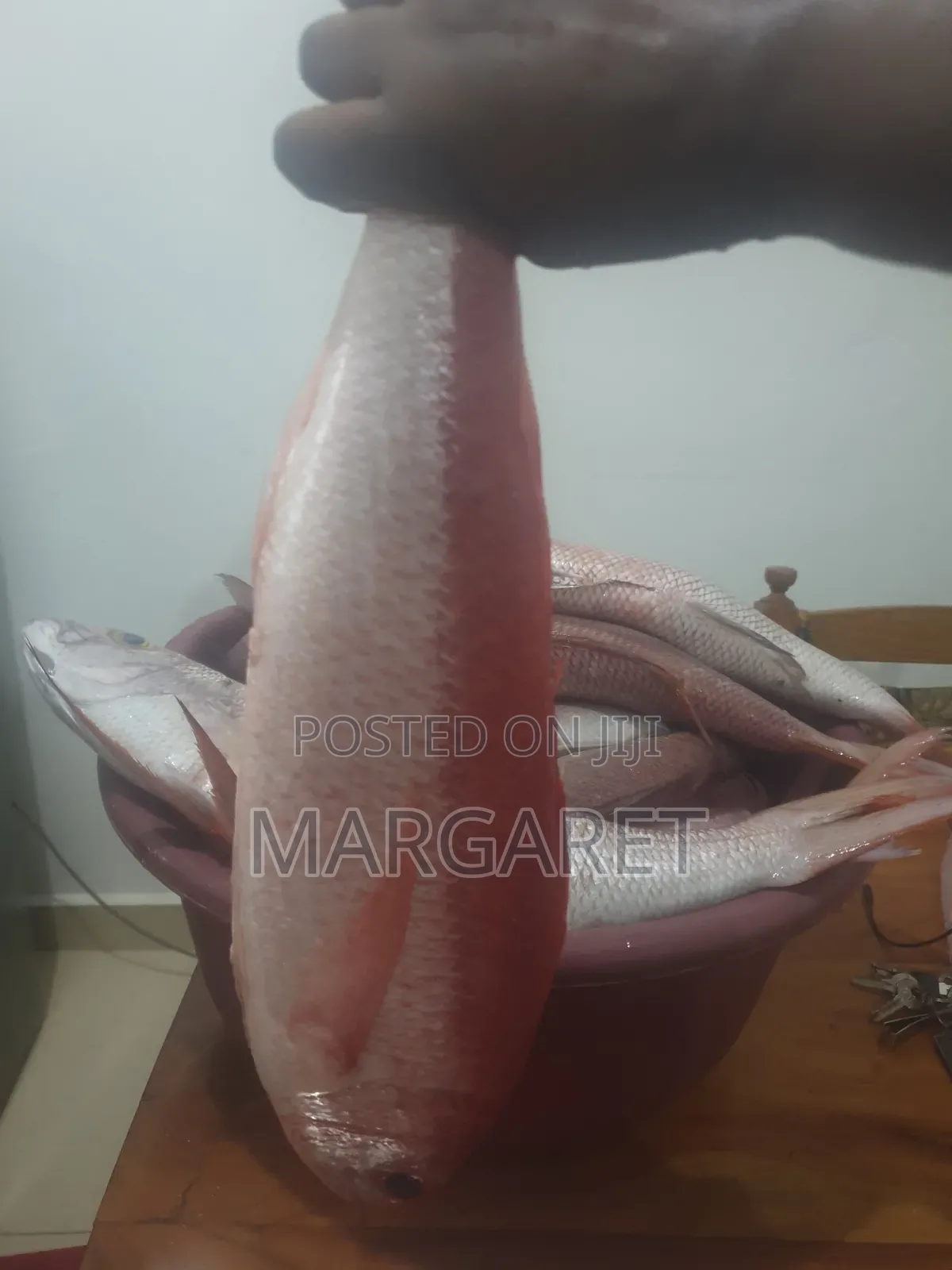 Fresh Fish