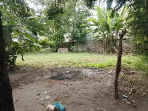 Plot for Sale in Bamburi Mtambo