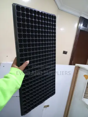 Efficient Starting Seedling Trays - Wholesale
