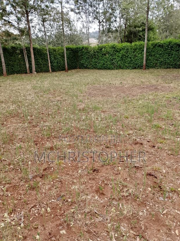 Prime One Eighth Plots in Ngong