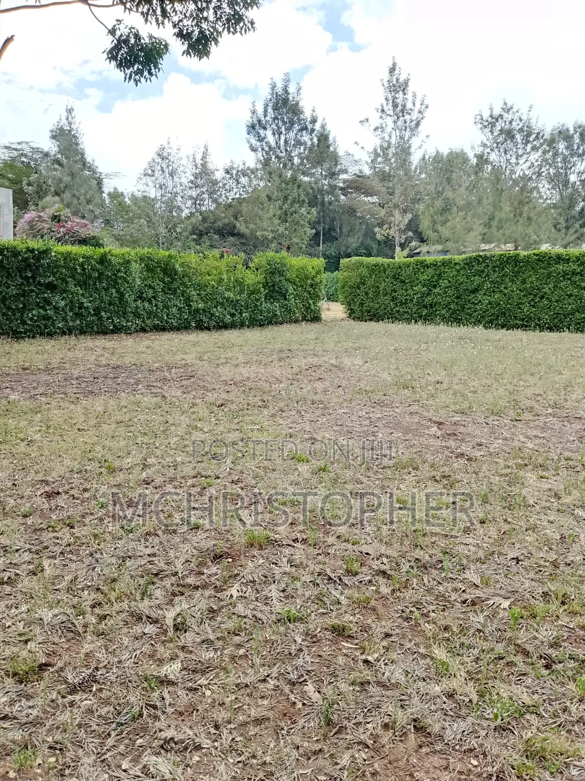 Prime One Eighth Plots in Ngong