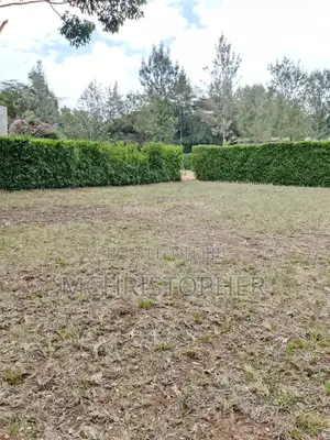 Prime One Eighth Plots in Ngong