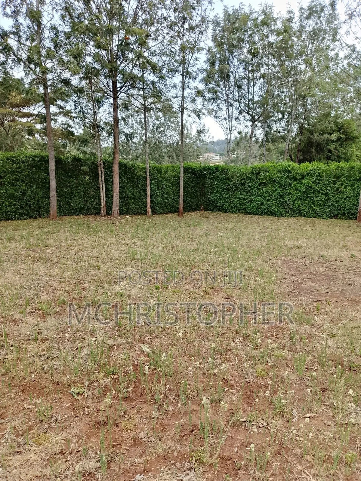 Prime One Eighth Plots in Ngong