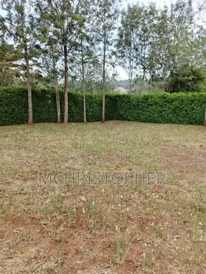 Prime One Eighth Plots in Ngong