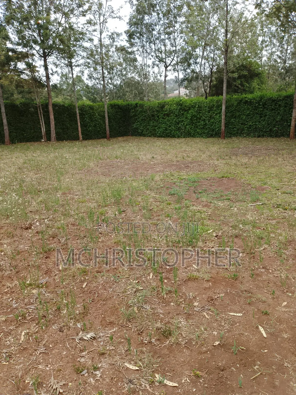 Prime One Eighth Plots in Ngong