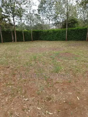 Prime One Eighth Plots in Ngong