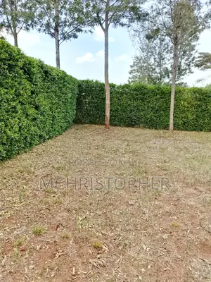 Prime One Eighth Plots in Ngong