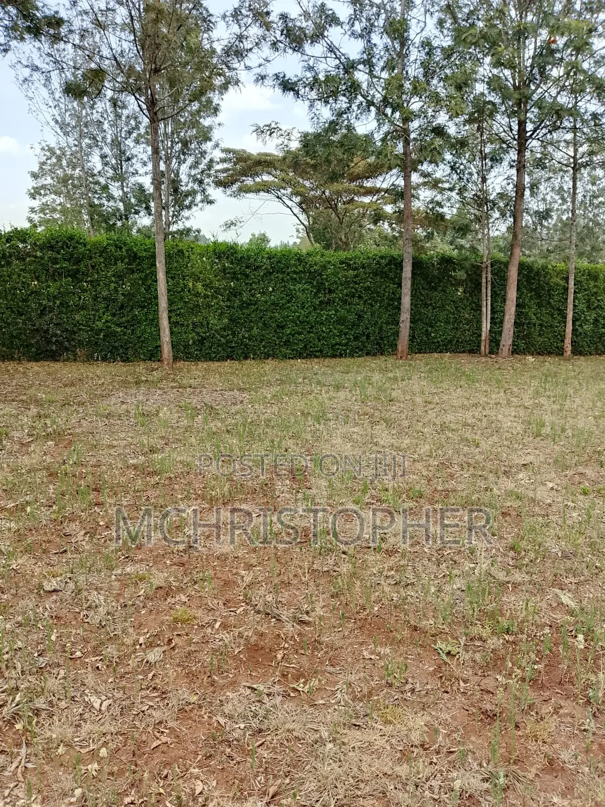 Prime One Eighth Plots in Ngong