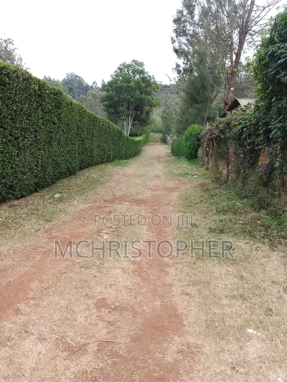 Prime One Eighth Plots in Ngong