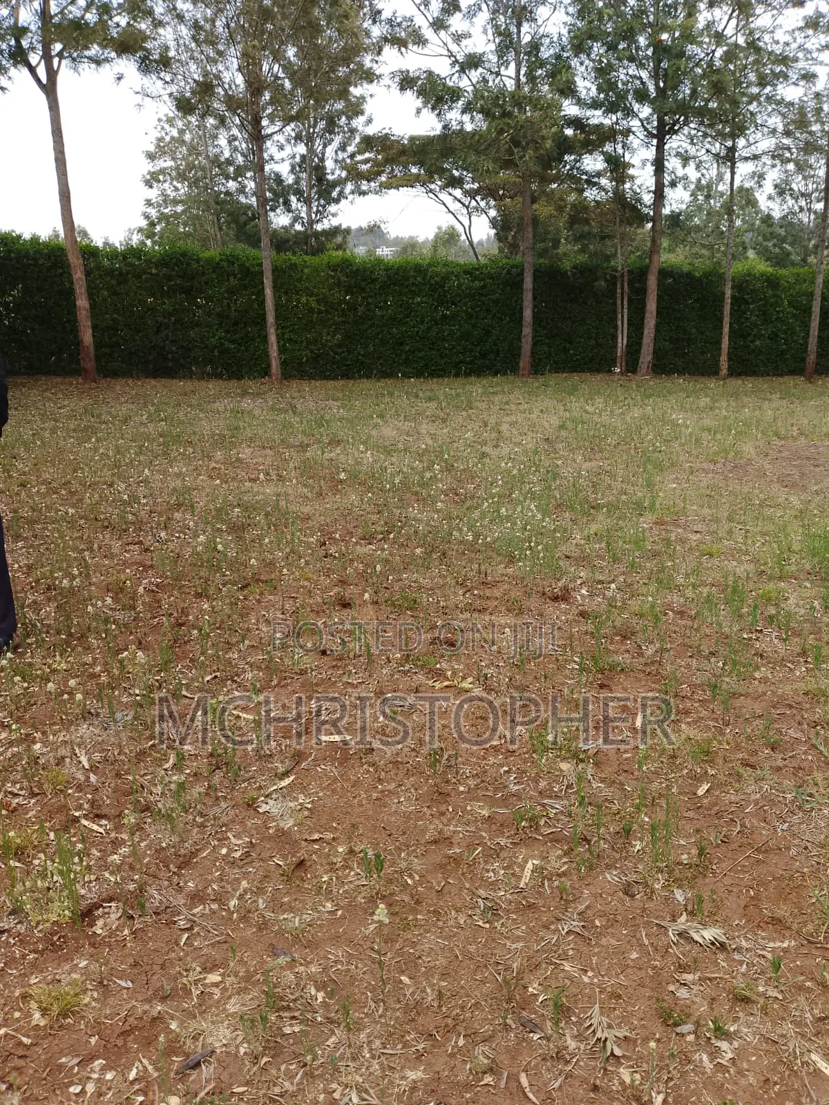 Prime One Eighth Plots in Ngong