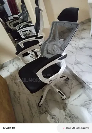 Modern Ergonomic Office Chair - High Reclining +Footrest