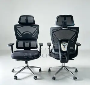 Mesh Executive Seat With Lumber Support