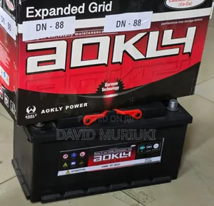 AOKLY Maintenance-Free Vehicle Battery N100