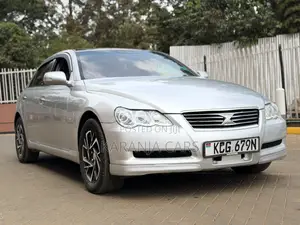 Toyota Mark X 2.5 RWD 2009 Silver