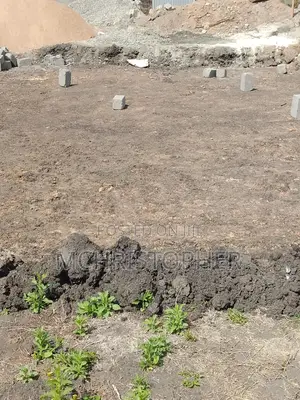 Prime One Eighth Plots in Kiserian