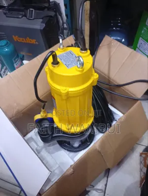 2 Inch 2 H 1500 Watt Commercial Sewage Pump Freevel