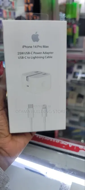 Type C to Lightning Original Charger