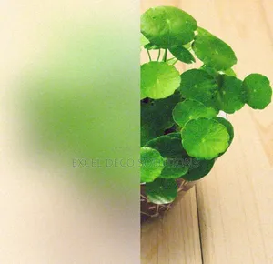 Frosted Privacy Film for Meeting Room Glass