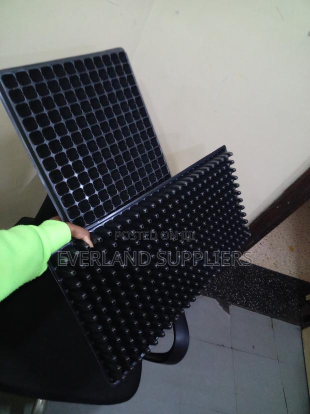 Cabbage Seedling Trays - Wholesale - main view