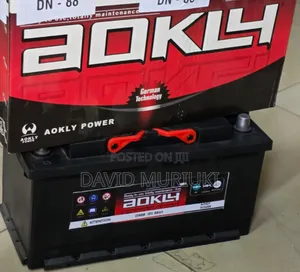 AOKLY Maintenance-Free Vehicle Battery N50