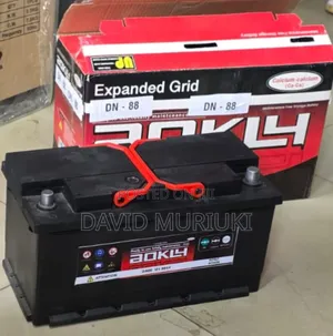 AOKLY Maintenance-Free Vehicle Battery N150