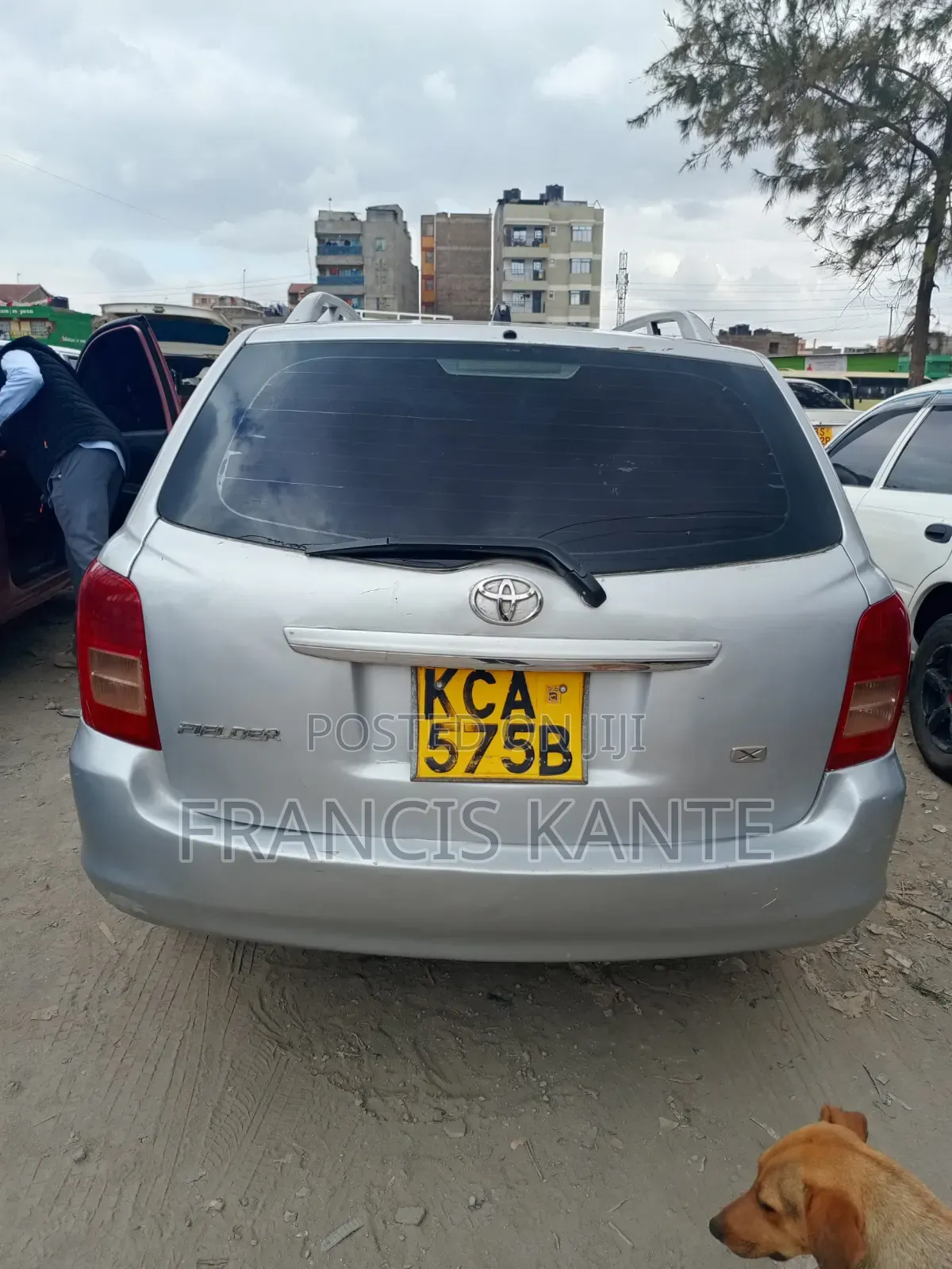 Toyota Corolla Fielder 2007 Silver