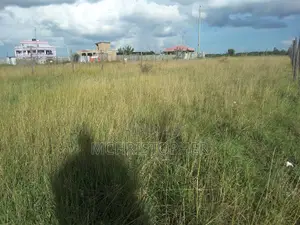 Prime One Eighth Plots in Ongata Rongai
