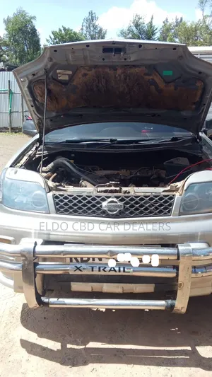 Nissan X-Trail 2005 Silver