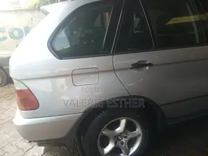 BMW X5 2006 Gray