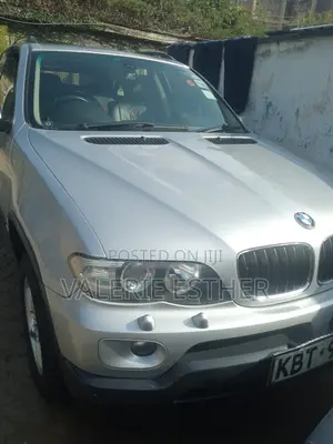 BMW X5 2006 Gray