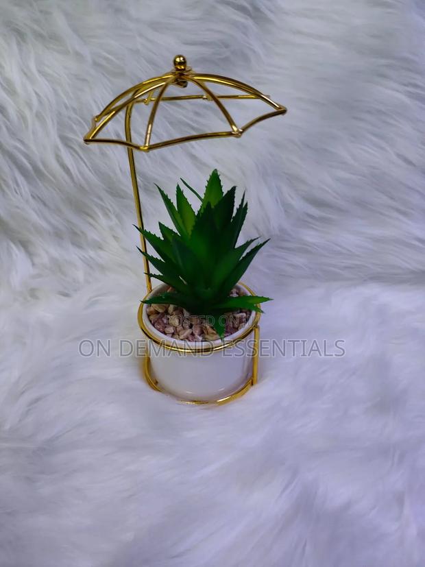 Succulent Small Wire Decor - main view