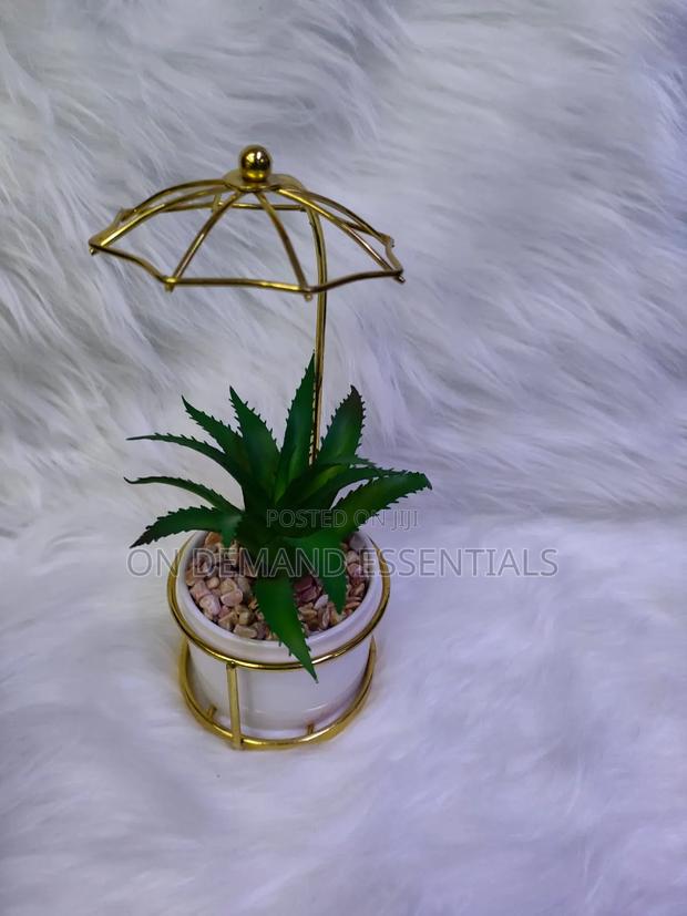 Succulent Small Wire Decor - thumbnail 3