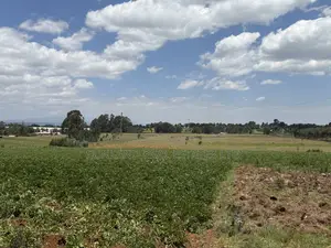 Land for Sale in Nyahururu Suera/Gatimu – KSh 3.55M Per Acre