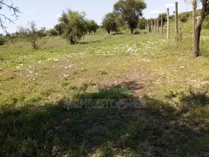 Lovely One Acre Pieces of Land in Ongata Rongai