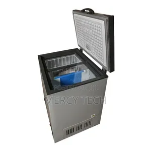 Premier Deep Freezer 100L