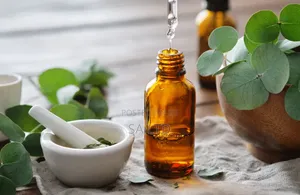 Eucalyptus Essential Oil