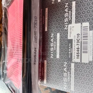 Genuine Air Cleaner