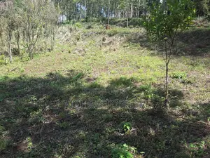 Lovely Quarter Acre Plots in Ngong