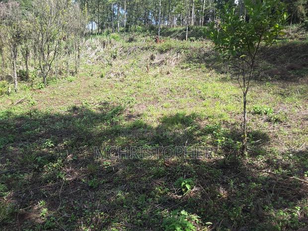 Lovely Quarter Acre Plots in Ngong - main view
