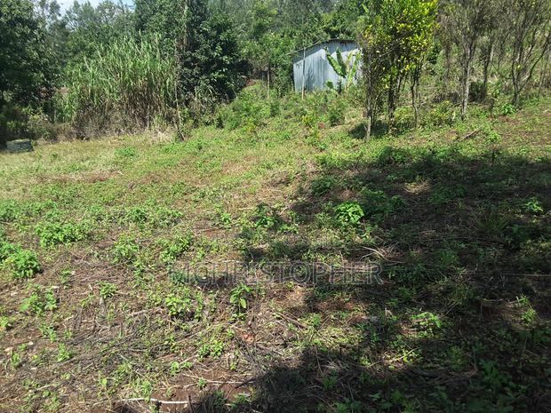 Lovely Quarter Acre Plots in Ngong - thumbnail 3