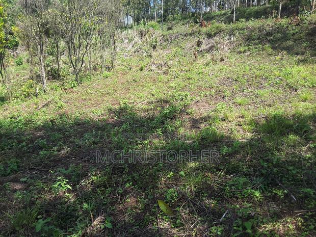 Lovely Quarter Acre Plots in Ngong - thumbnail 4