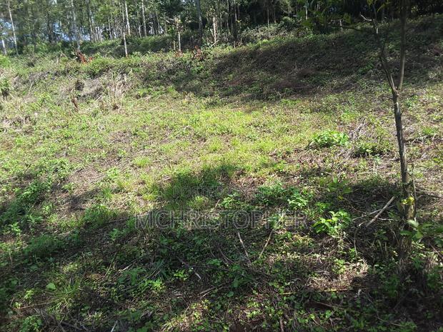 Lovely Quarter Acre Plots in Ngong - thumbnail 5