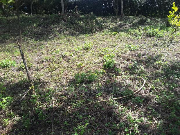 Lovely Quarter Acre Plots in Ngong - thumbnail 6