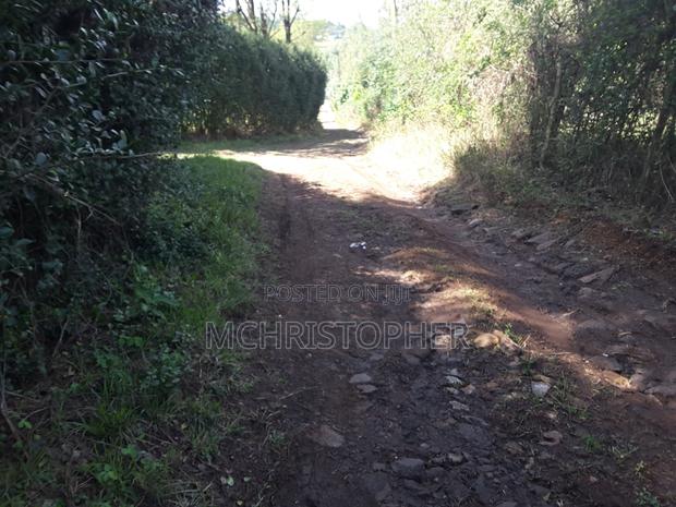 Lovely Quarter Acre Plots in Ngong - thumbnail 7