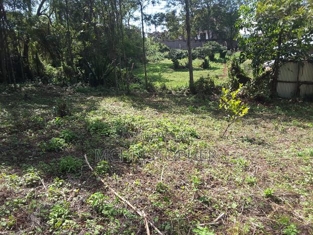 Lovely Quarter Acre Plots in Ngong - thumbnail 8