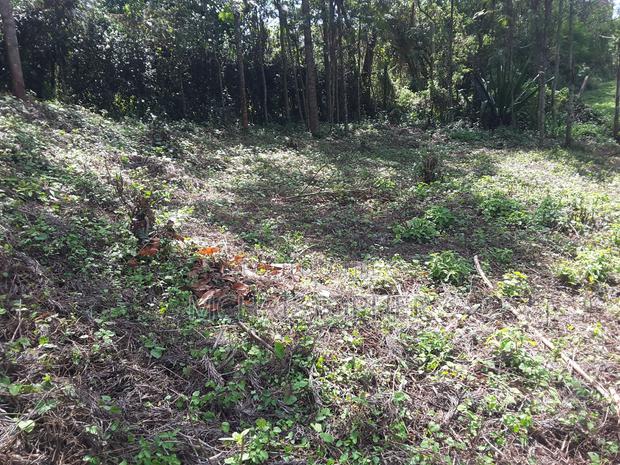 Lovely Quarter Acre Plots in Ngong - thumbnail 9